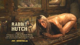poster/rabbit-hutch.jpg