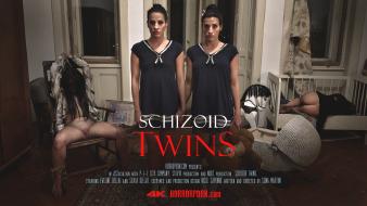poster/schizoid-twins.jpg