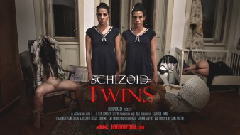 poster/schizoid-twins.jpg