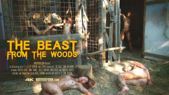 poster/the-beast-from-the-woods.jpg