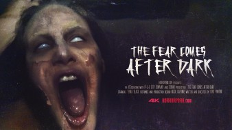 poster/the-fear-comes-after-dark.jpg